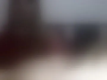 noah_vnzla