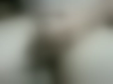 nylonleglvr