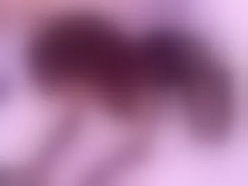pamelabunny_