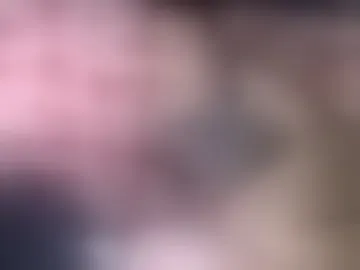 pawgboom