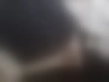 pelippo