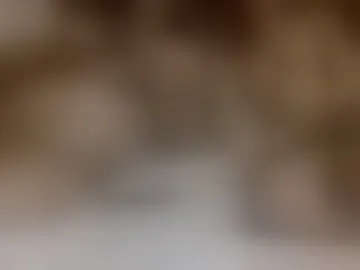 pipuandanny