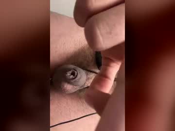 pitocortoobediente