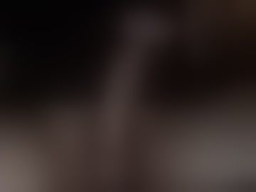 pnwbeardedguy
