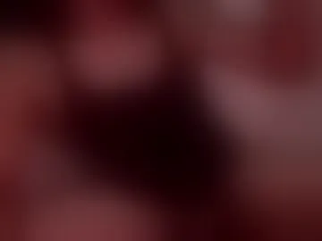 ptownazlatino