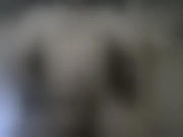 pussyfill3r