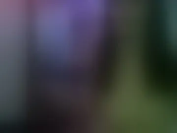 quinnslilslut_lai