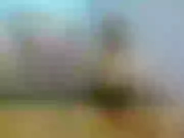 ramonaanca99