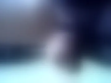 reggar1234