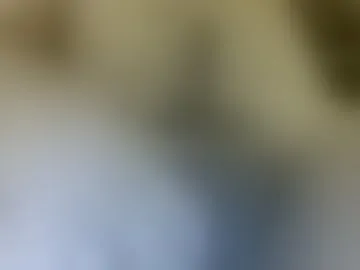 robbypots