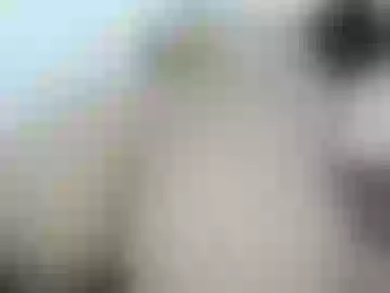 salome_sodi
