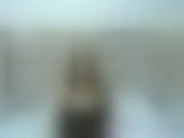 savala_