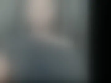 sayhaynastyx