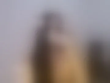 secret_greisy