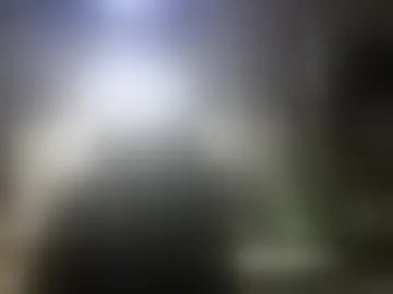 shroomshow