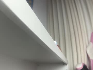 shyrobot