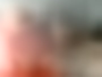 sillyoldman45221063
