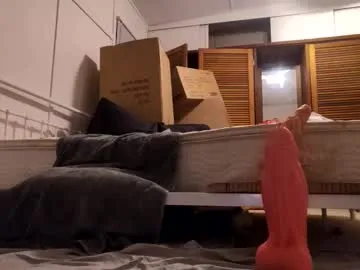 sissybbwlover