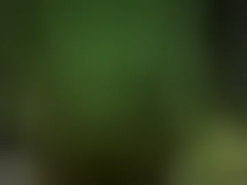 smittenpikachuu