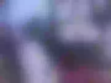 sofianix