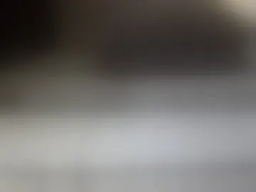 sparehamster