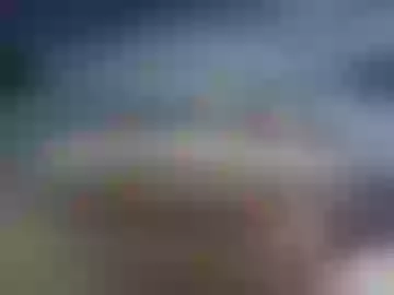 ssbepivynjhi
