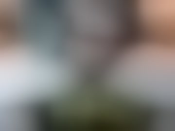 stcldbigy