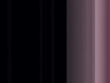 stevessunglasses