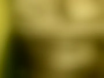 sugarbitch1
