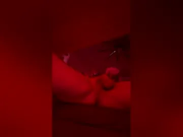 teddyorlando