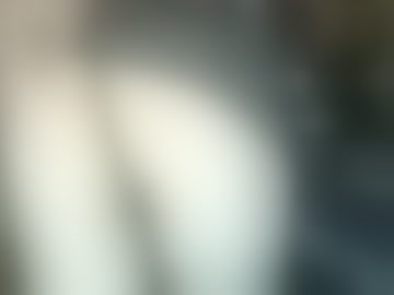 thatshywaifu