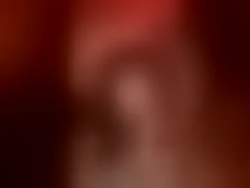 thebearandbunny