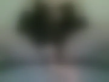 thebigboy69_