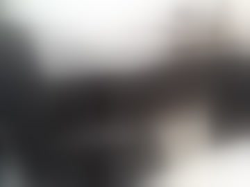 thehardcock2025