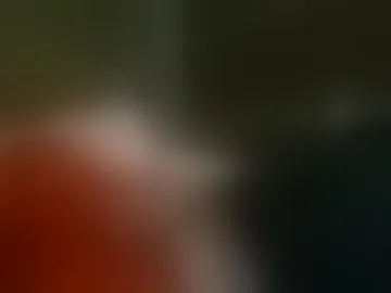 theheatv1