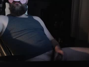 thepotbellypig