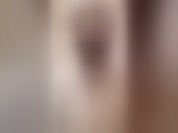 tiler_cat