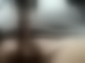 titfortatchat