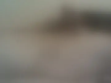 toneyrebel13