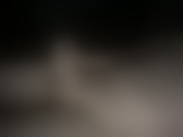 toppertopher16