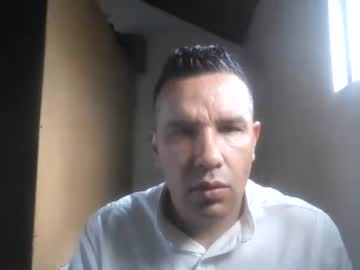 toro_negris1