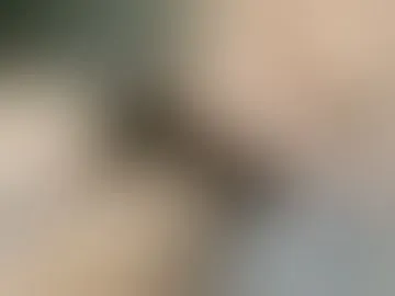 toutverr