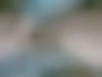 trevorboner