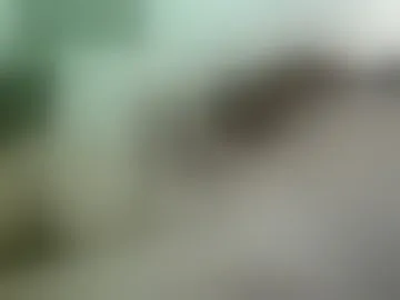 tstittylover_xxx
