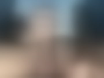 tydolla6969