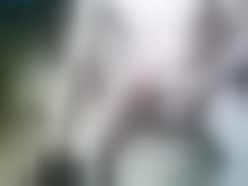 vaginal_licker