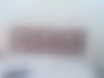 vaiolet_carter