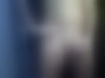 velvetboyxxx