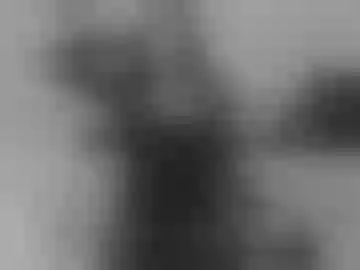 velvetduo__