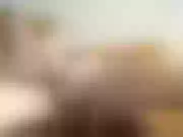 vendi1
